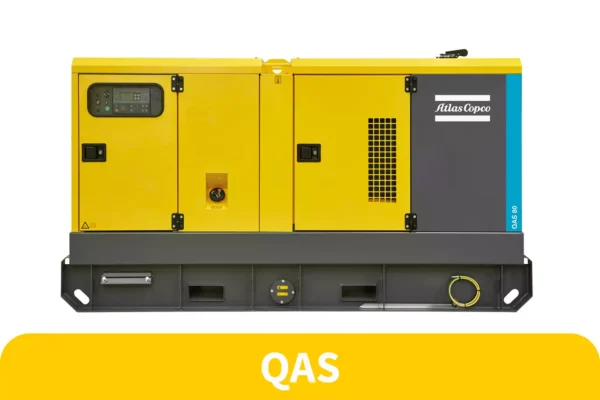 Mobile and stationary generators